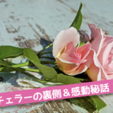 バチェラー ジャパン シーズン３応募要項を調べてみた 今後の願望 海外ドラマと 映画好きの まったりカフェ